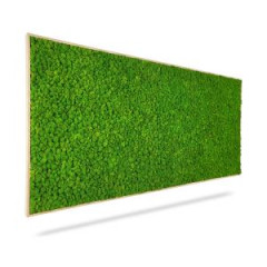 Machov obraz LIAJNK mono GREEN, 140x60cm, dreven biely rm