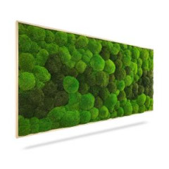 Machov obraz DUO Light Green, 100x50cm, dreven svetlohned rm