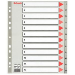 Plastov rozraova Esselte 1-12 maxi siv